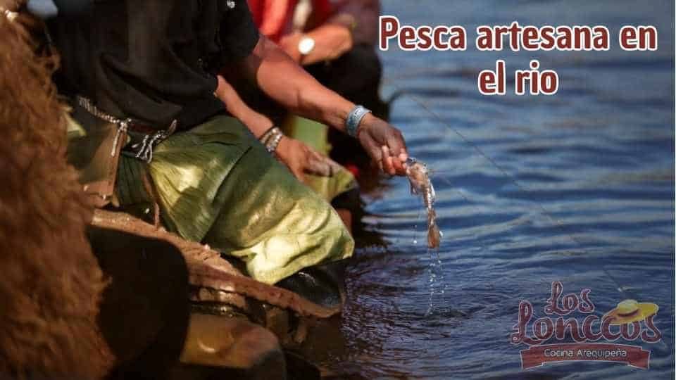 camarones de rio camana pesca de camarones