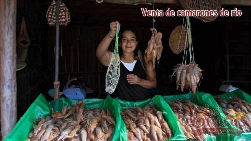 venta de camarones de camana venta de camarones camana